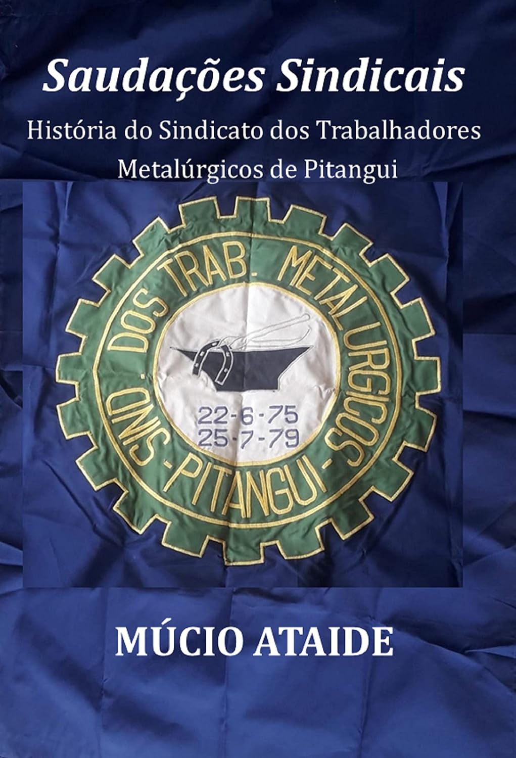 SAUDAÇÕES SINDICAIS: A história do Sindicato dos Trabalhadores Metalúrgicos de Pitangui baixar livro de graça