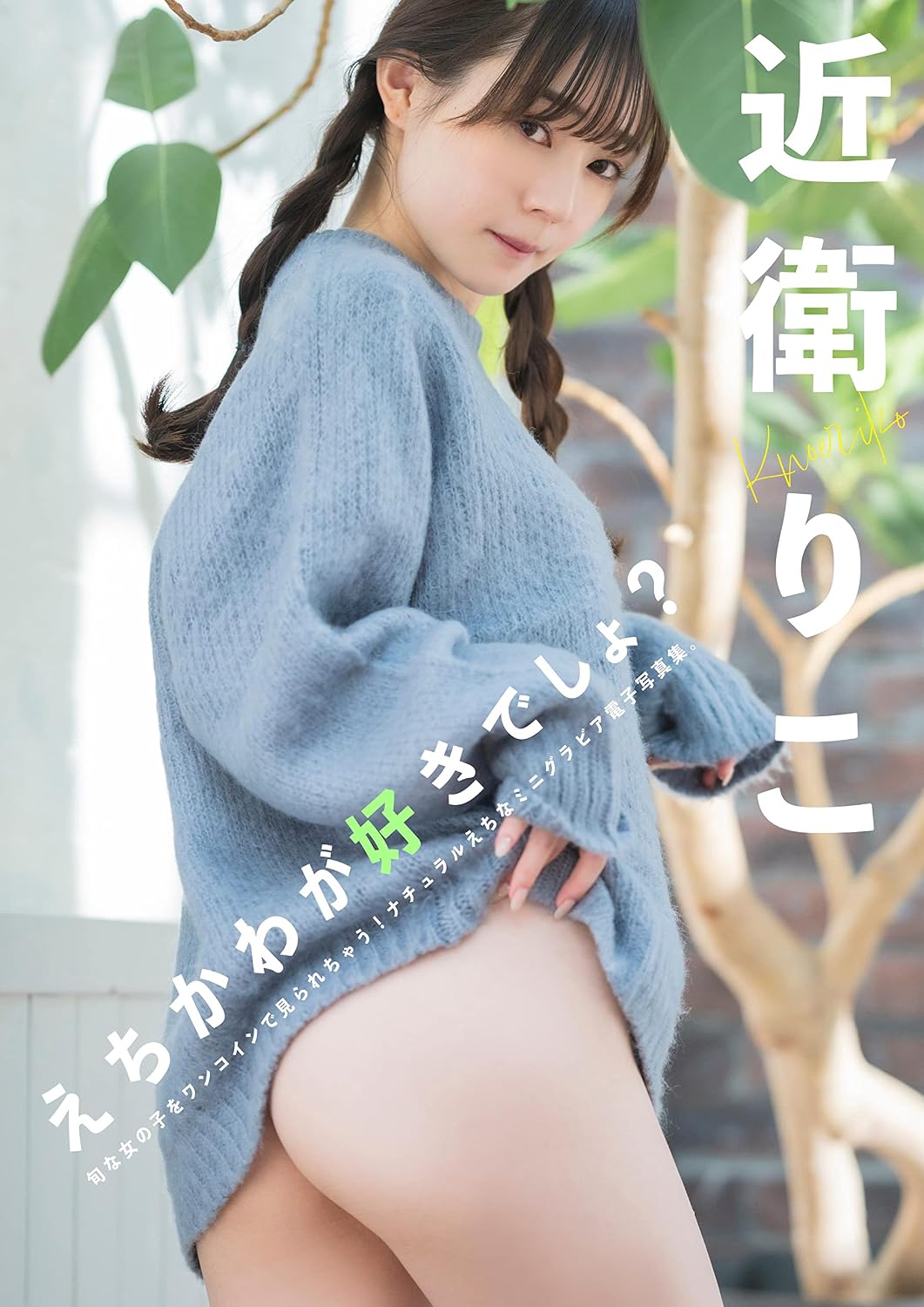 ler totalmente echikawagasukidesyo (wunderpublishinghouse) (Japanese Edition)