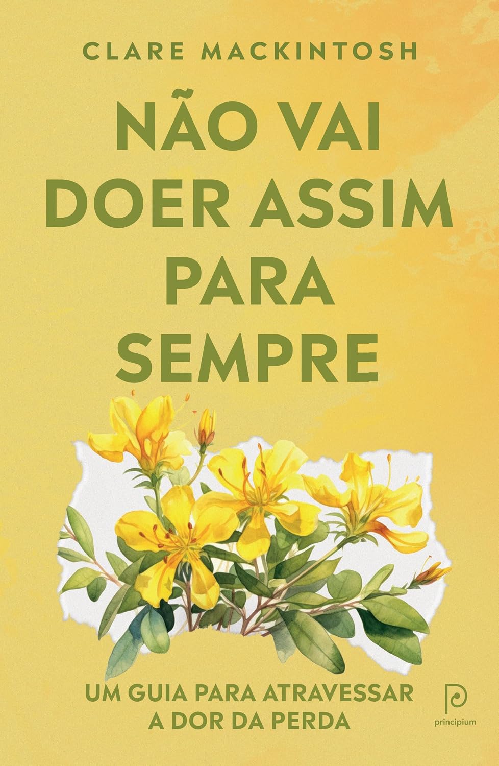 Não vai doer assim para sempre: Um guia para atravessar a dor da perda baixar o livro de graça