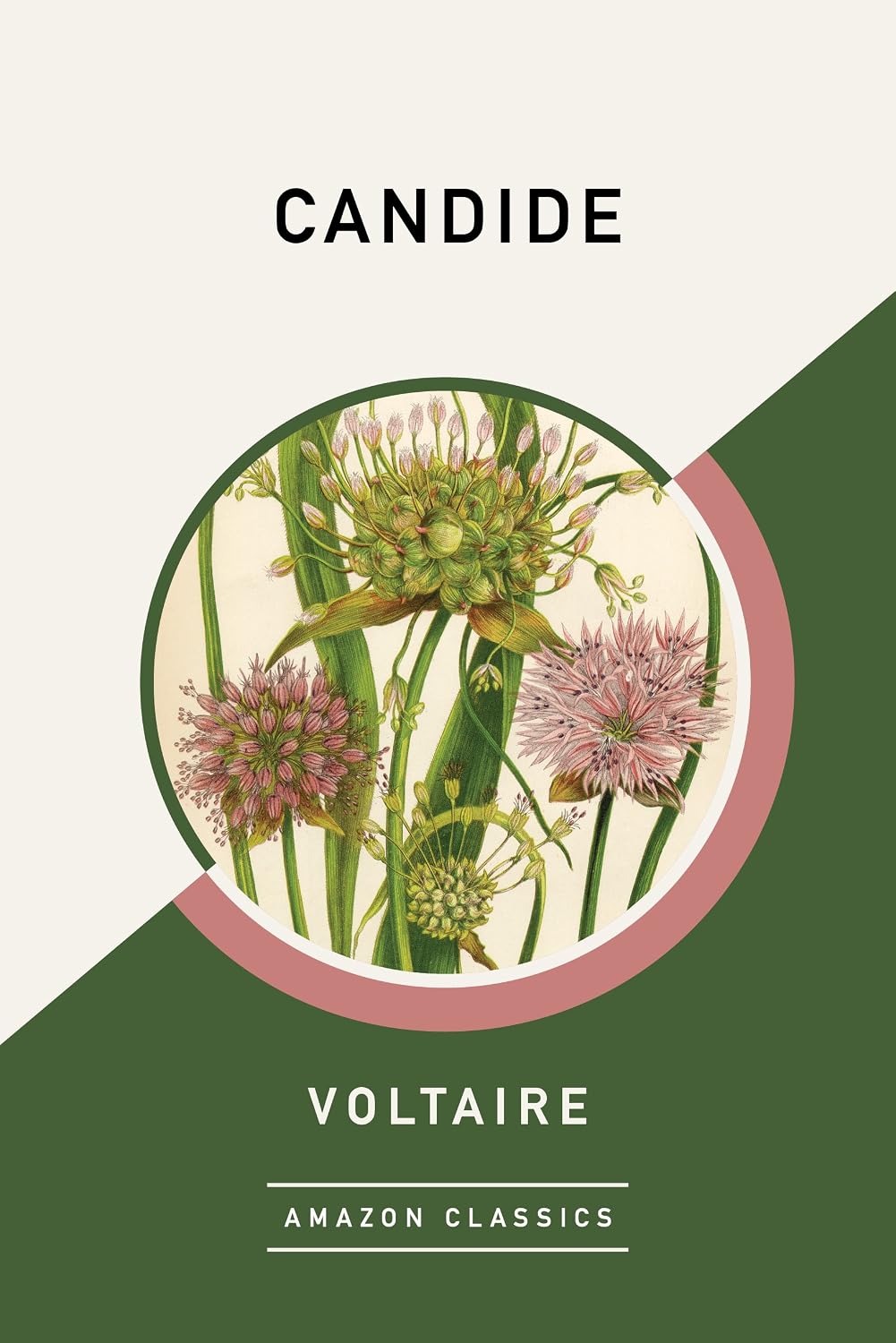 capítulo por capítulo baixar Candide (AmazonClassics Edition) (English Edition)
