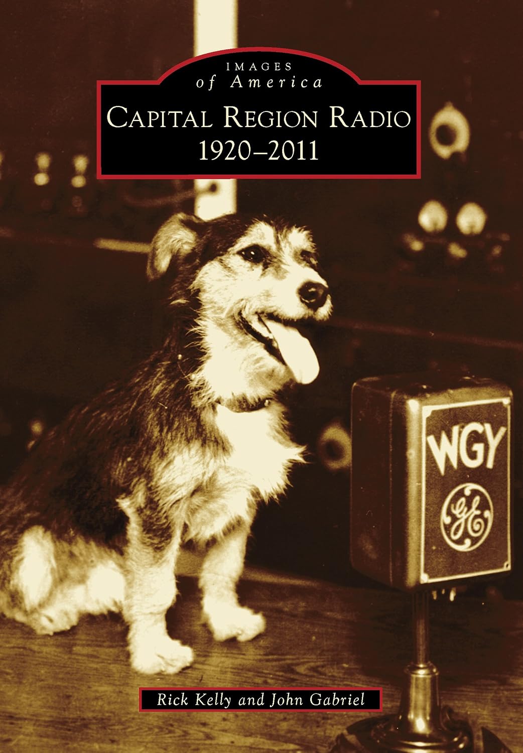 Capital Region Radio: 1920-2011 (Images of America) (English Edition) baixar livro de graça