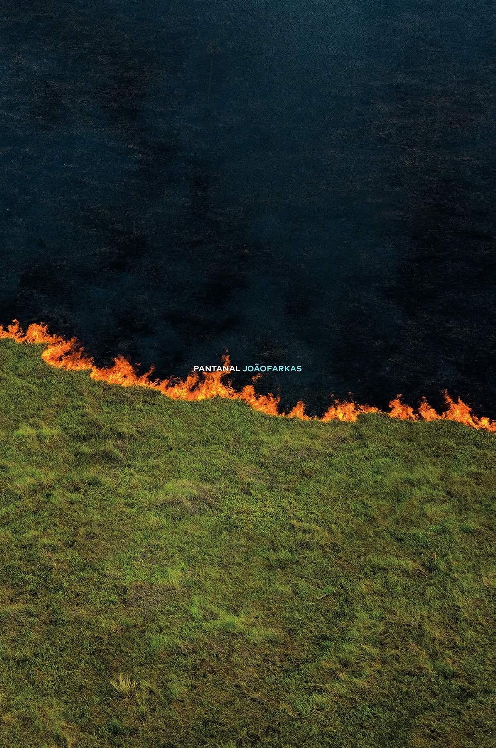 Pantanal baixar o livro de graça