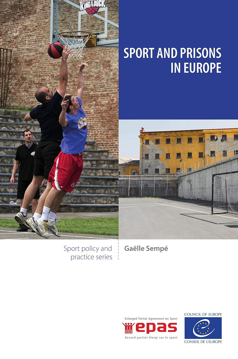ler totalmente Sport and prisons in Europe (English Edition)