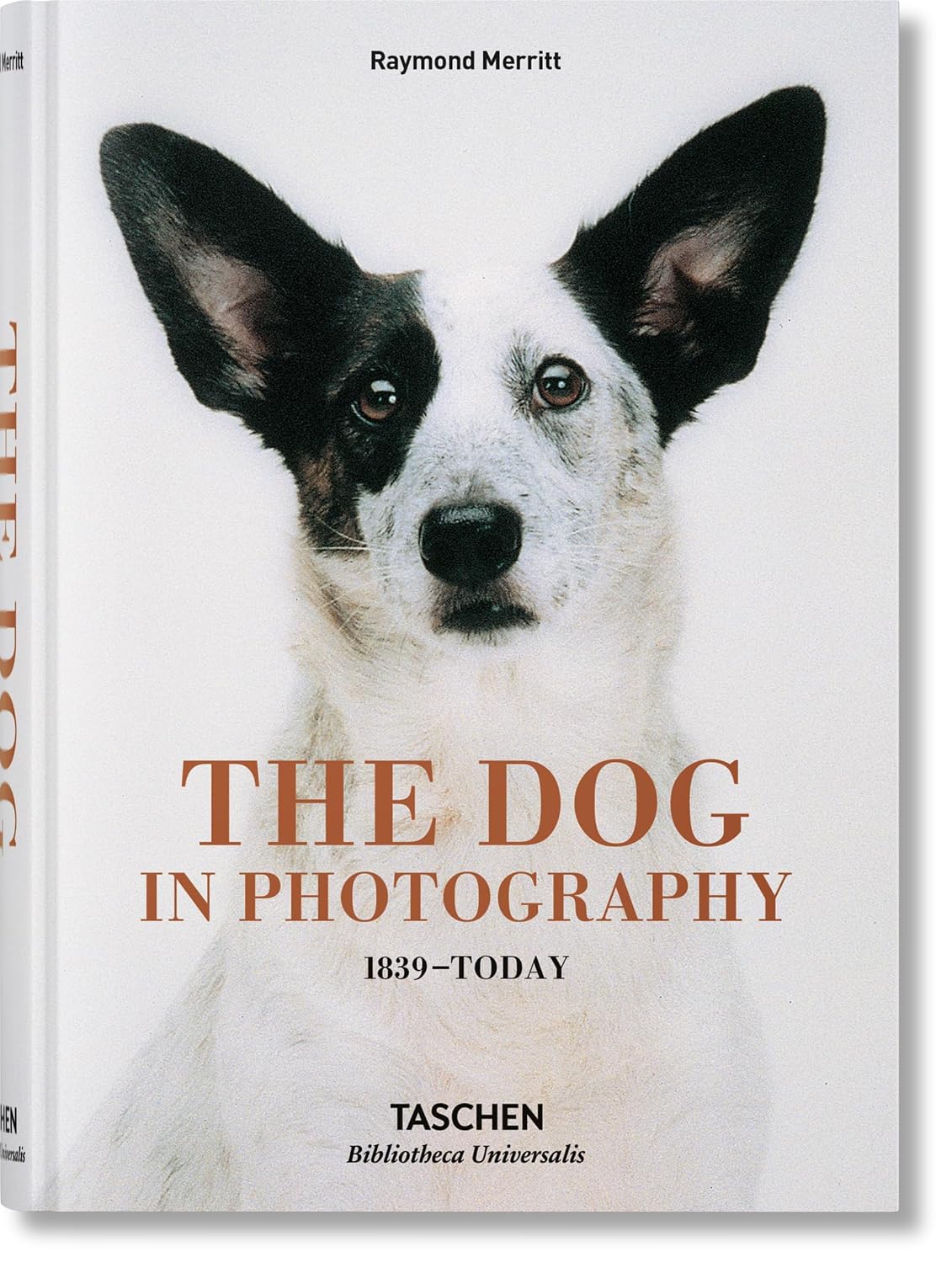 The Dog in photography 1839 - today baixar livro de graça