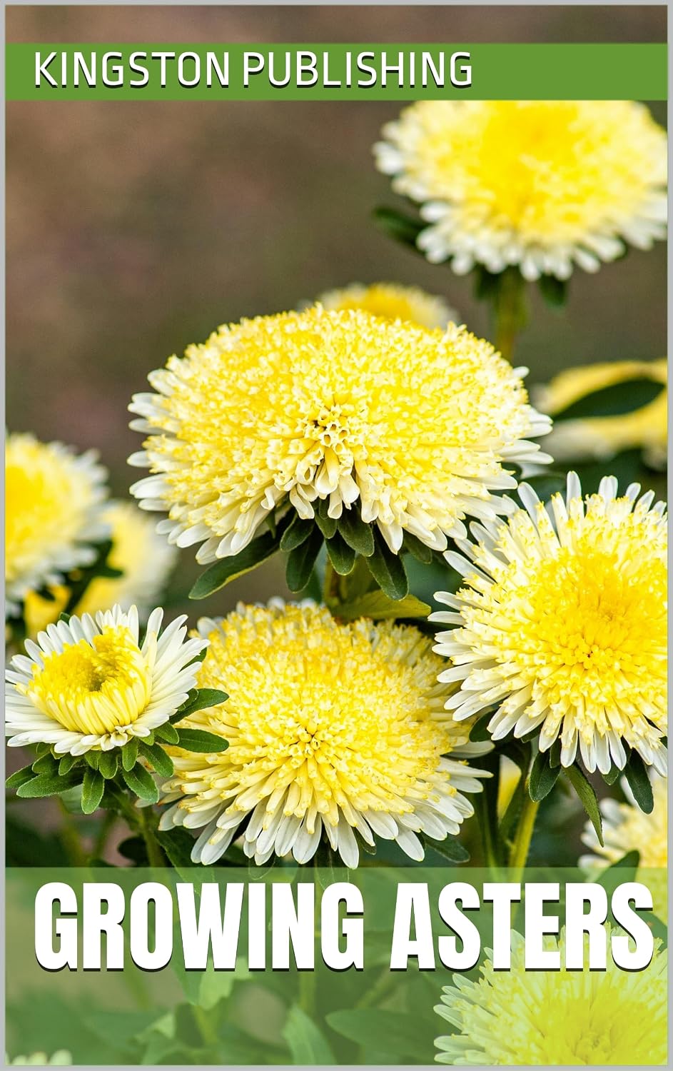 Growing Asters (Homegrown flowers) (English Edition) baixar livro de graça