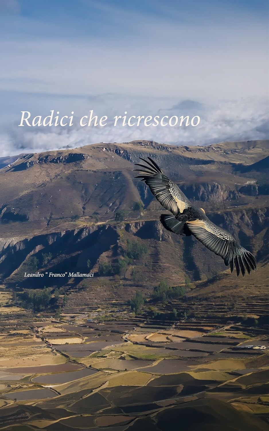 Radici che ricrescono.: Altiplano (Imparare a vedere Vol. 2) (Italian Edition) baixar o livro de graça