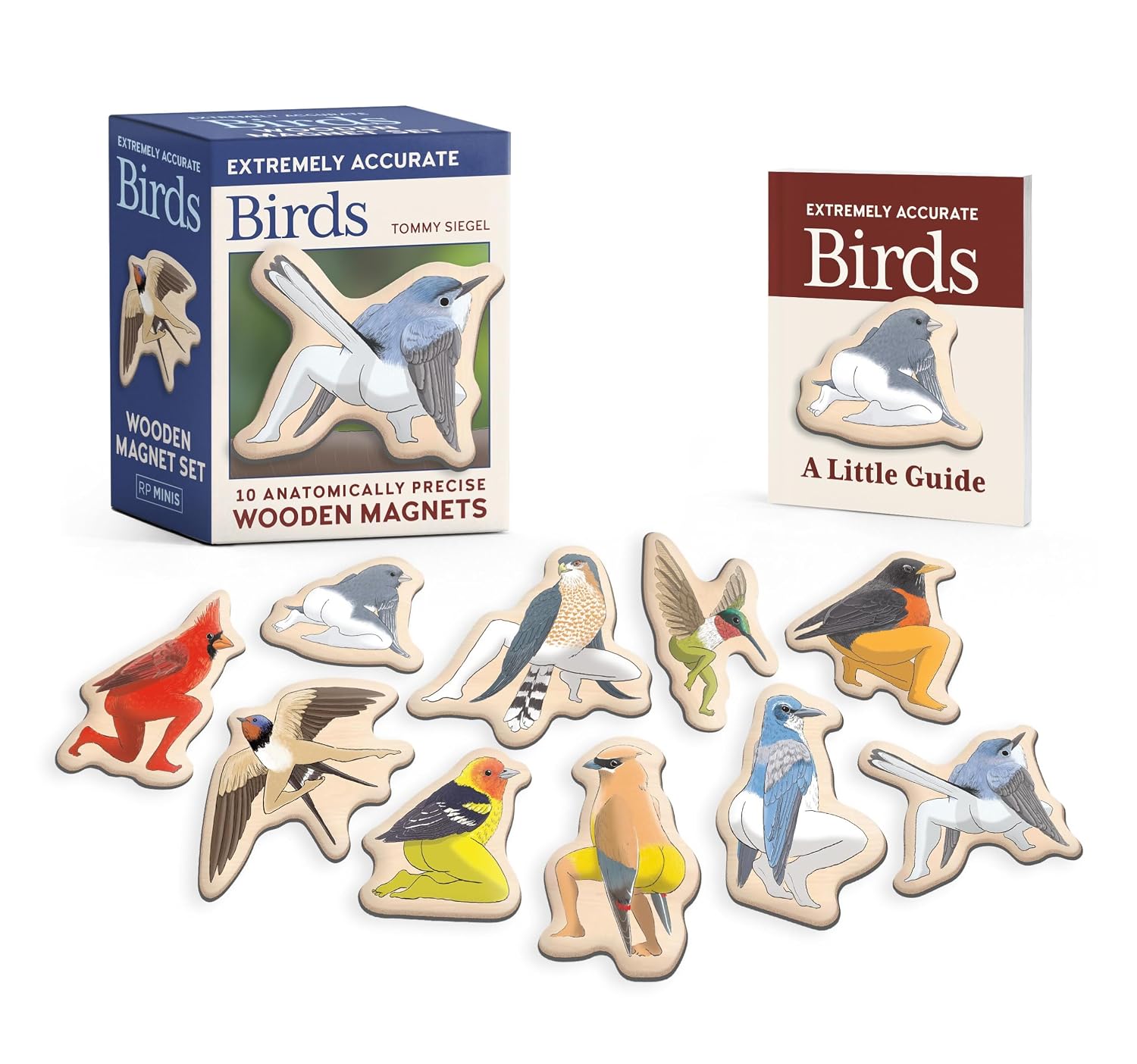 Extremely Accurate Birds Wooden Magnet Set: 10 Anatomically Precise Magnets