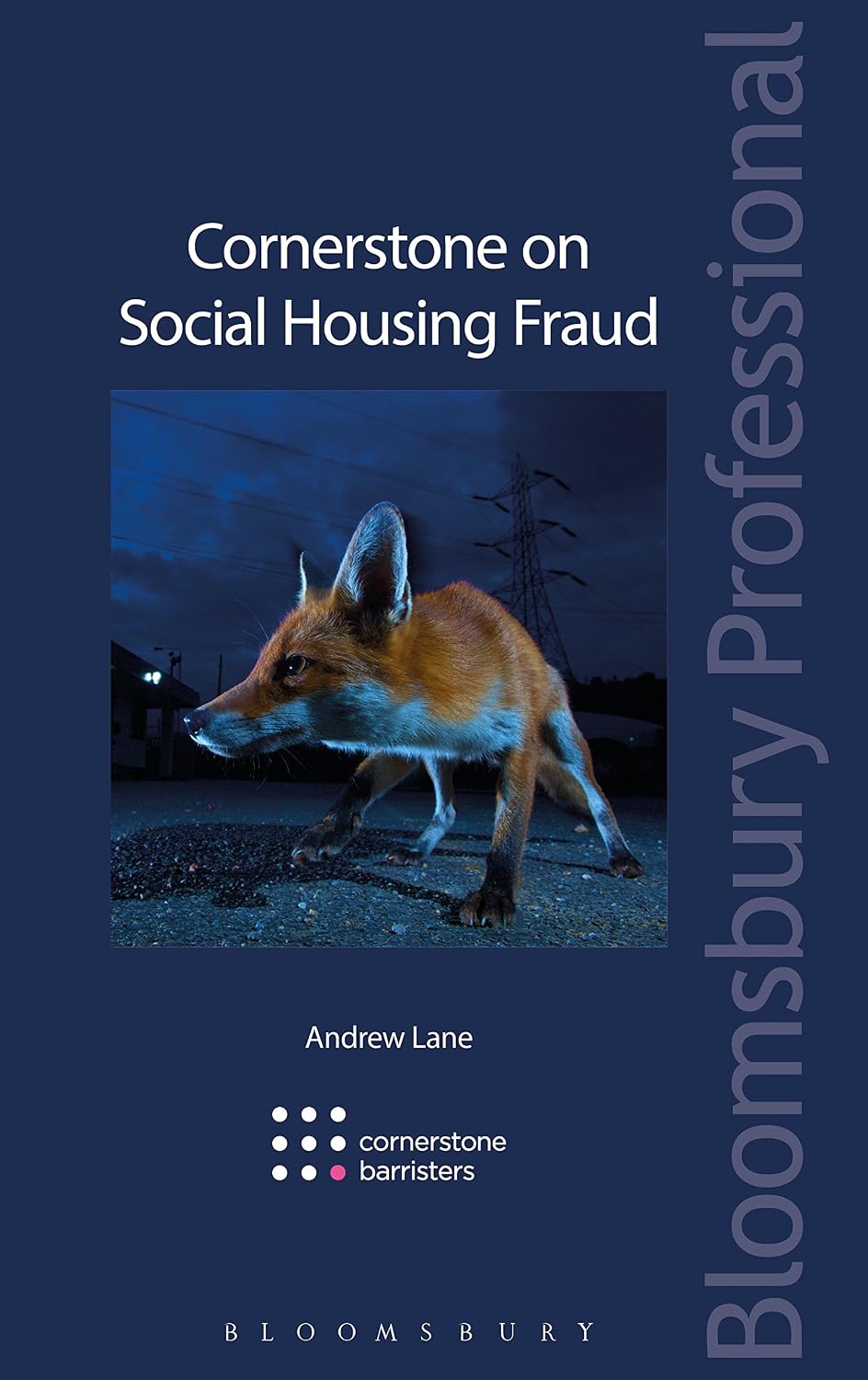Cornerstone on Social Housing Fraud (Cornerstone on...) (English Edition) baixar o livro de graça