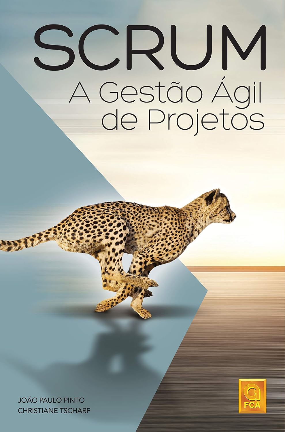 Scrum: a gestão ágil de projetos