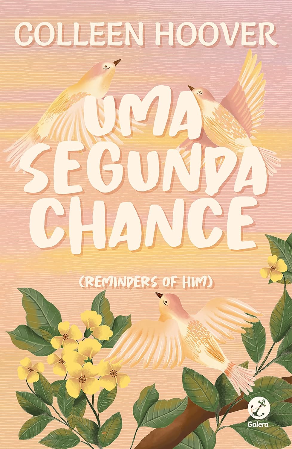 Uma segunda chance baixar livro de graça