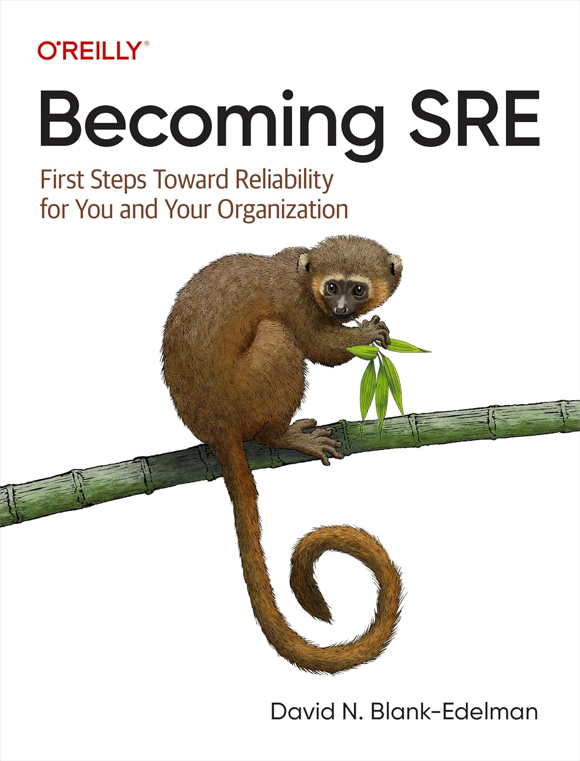 ler totalmente Becoming SRE: First Steps Toward Reliability for You and Your Organization (English Edition)
