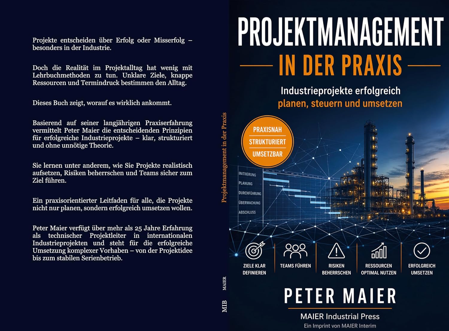 Projektmanagement in der Praxis: Industrieprojekte erfolgreich planen, steuern und umsetzen (German Edition) baixar livro de graça