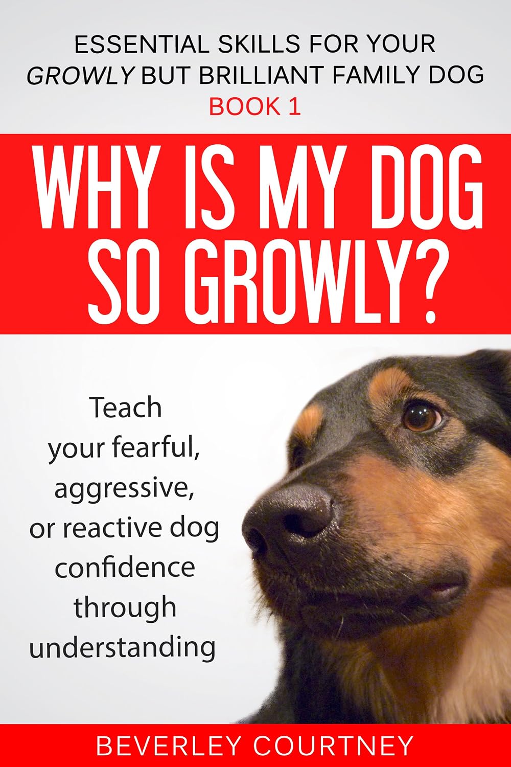 ler totalmente Why is my dog so growly?: Book 1 Teach your fearful, aggressive, or reactive dog confidence through understanding (Essential Skills for your Growly but Brilliant Family Dog) (English Edition)