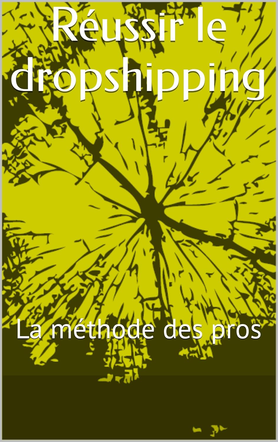 Réussir le dropshipping: La méthode des pros (French Edition) baixar livro de graça