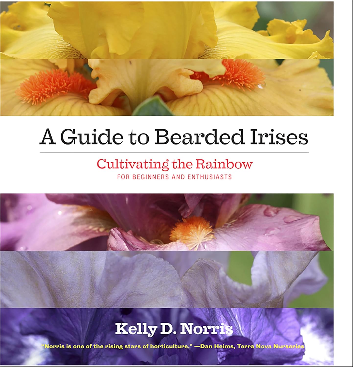 A Guide to Bearded Irises: Cultivating the Rainbow for Beginners and Enthusiasts (English Edition) baixar livro de graça