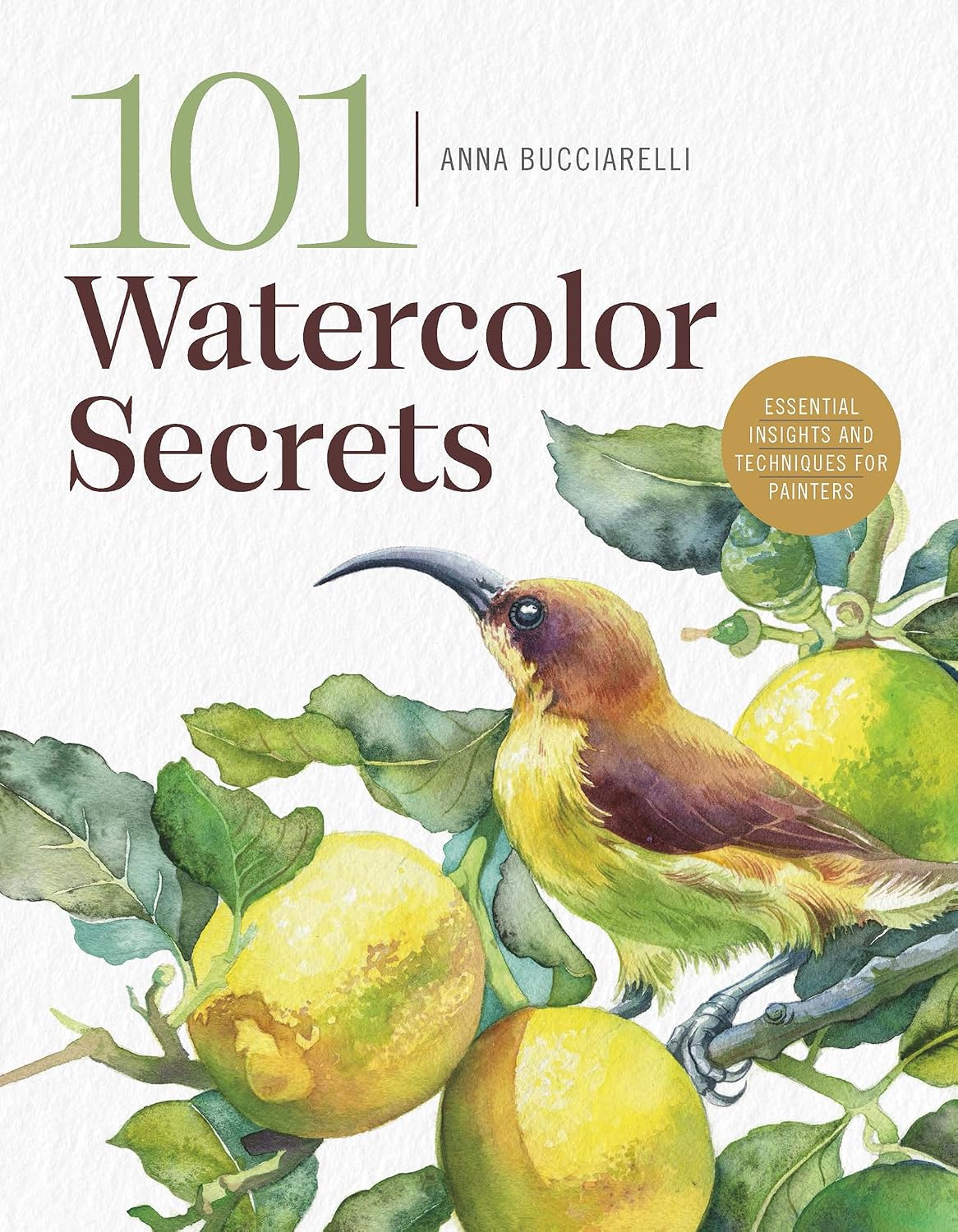 capítulo por capítulo baixar 101 Watercolor Secrets: Essential Insights and Techniques for Painters