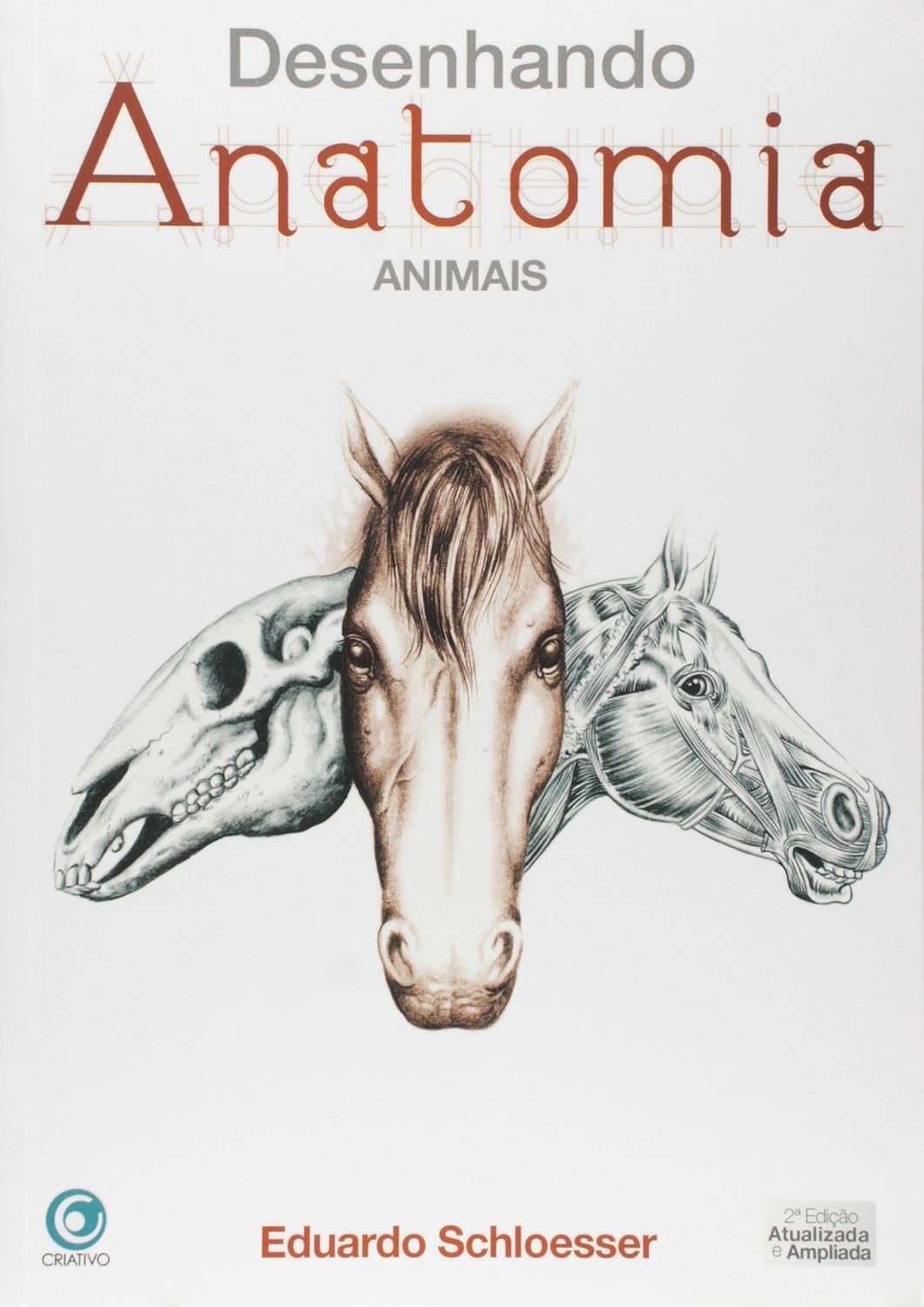 Desenhando Anatomia. Figura Animais baixar livro de graça