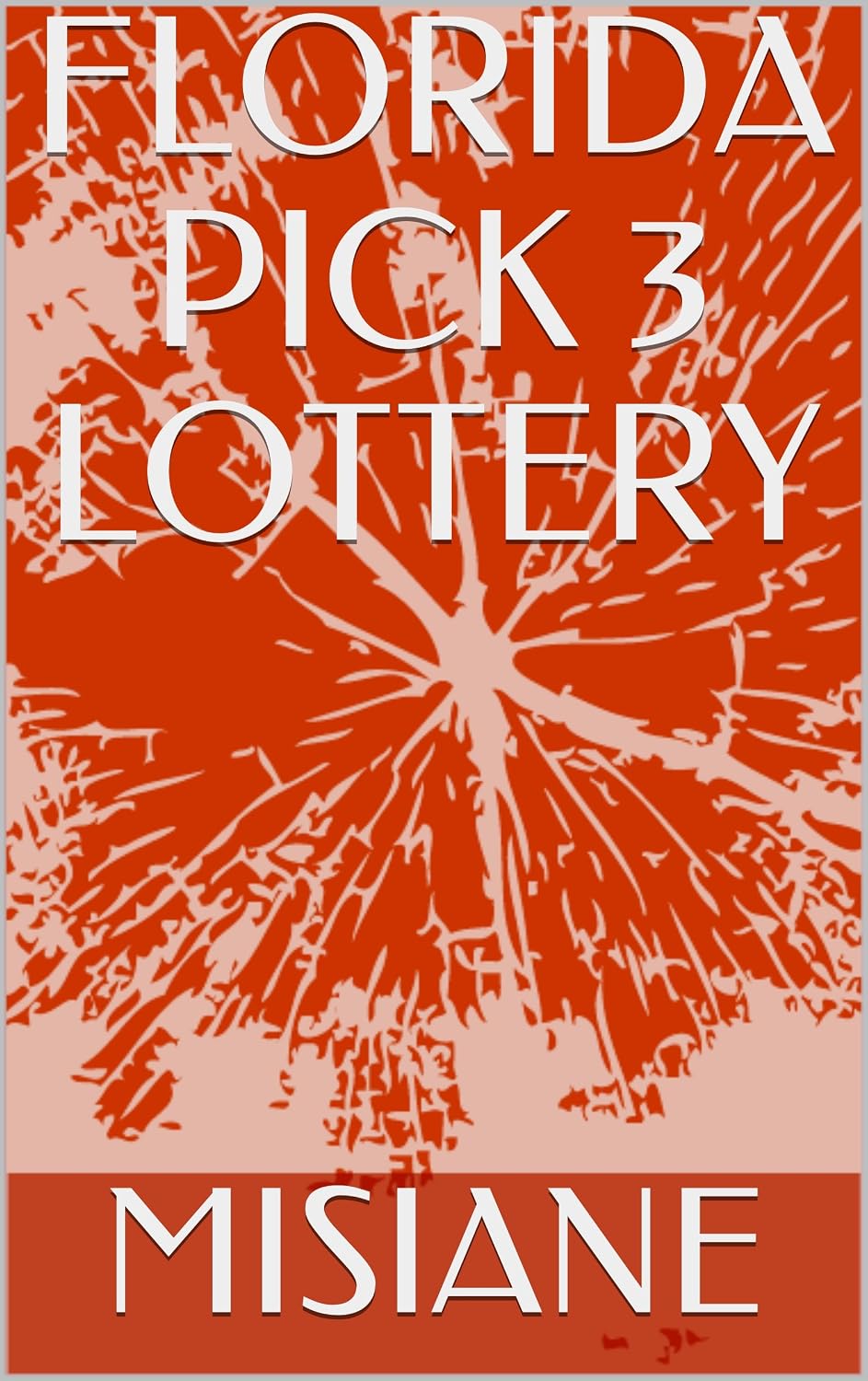 FLORIDA PICK 3 LOTTERY (English Edition)