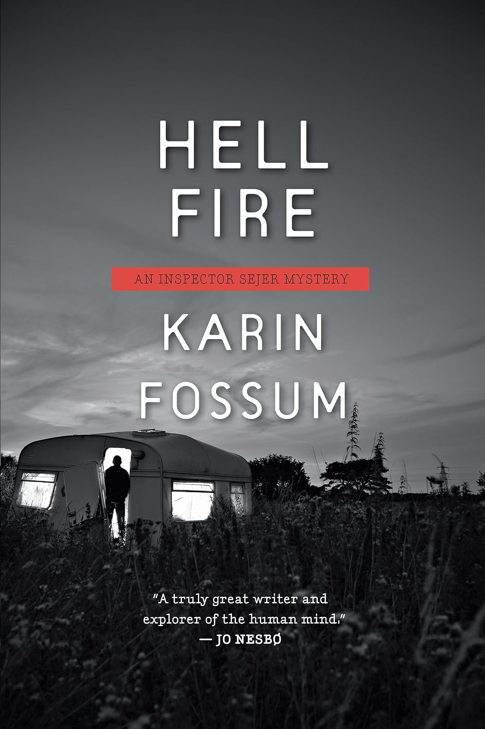 ler totalmente Hell Fire: A Gripping Scandinavian Crime Thriller – Inspector Sejer Police Procedural (Inspector Sejer Mysteries Book 12) (English Edition)