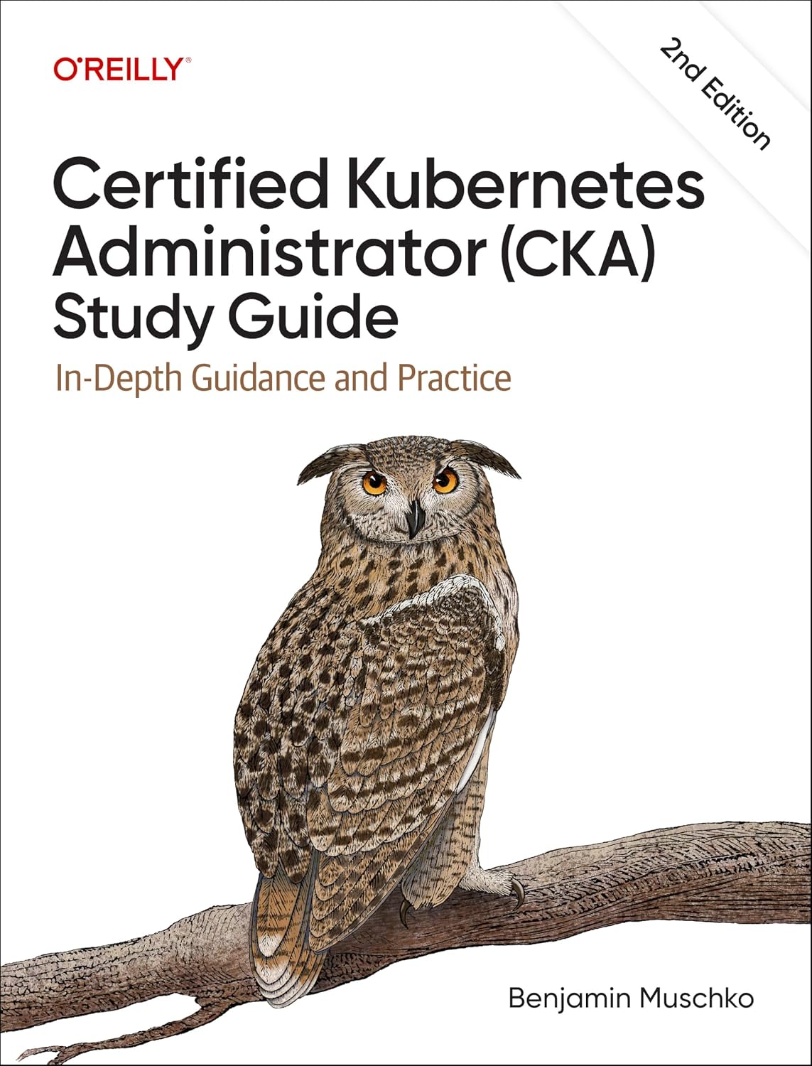 Certified Kubernetes Administrator (Cka) Study Guide: In-Depth Guidance and Practice baixar livro de graça