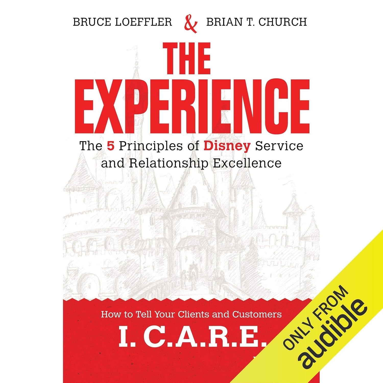The Experience: The 5 Principles of Disney Service and Relationship Excellence baixar livro de graça