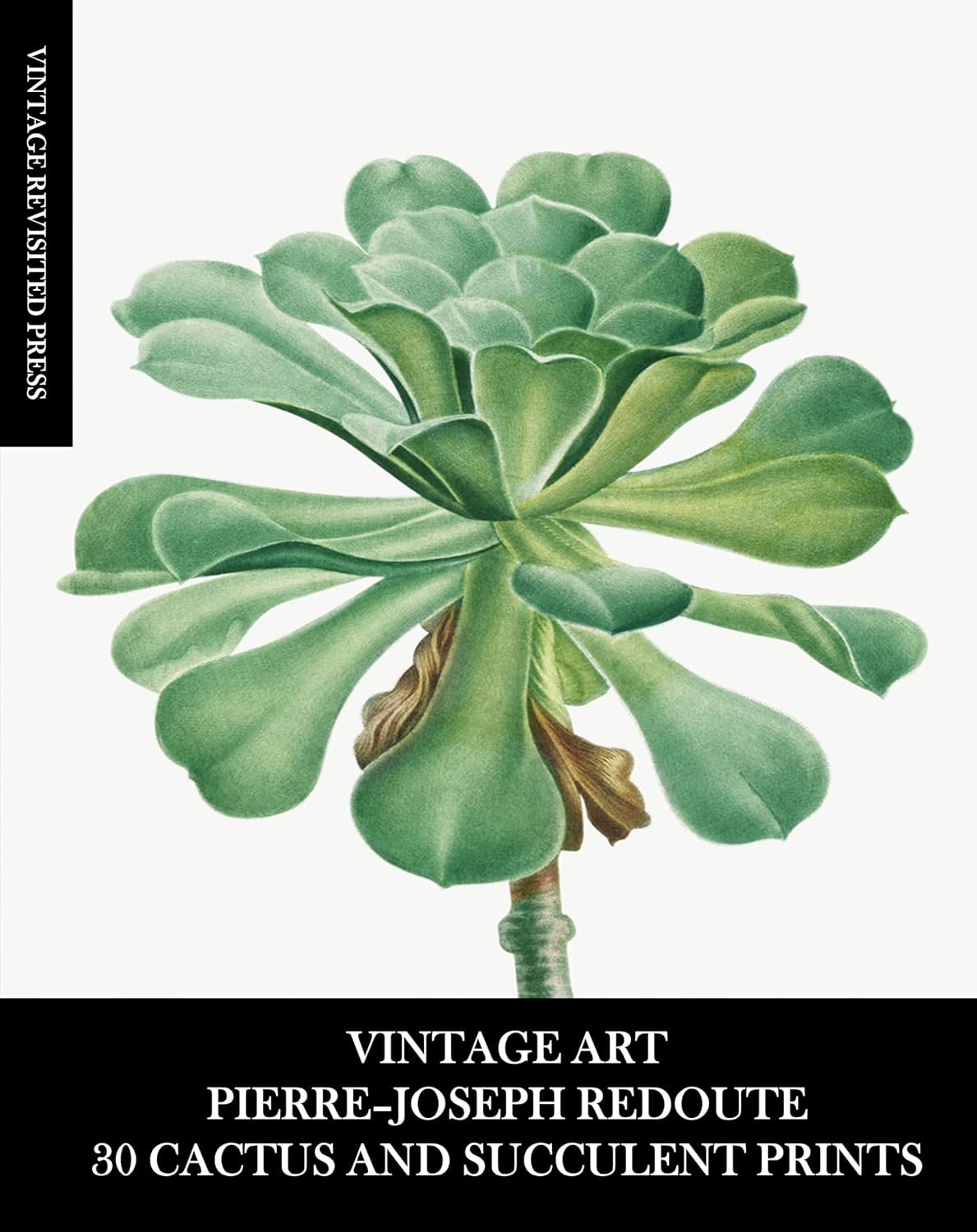 ler totalmente Vintage Art: Pierre-Joseph Redoute: 30 Cactus and Succulent Prints: Botanical Ephemera for Home Decor, Collages, Junk Journals, Framing and Scrapbooks (English Edition)