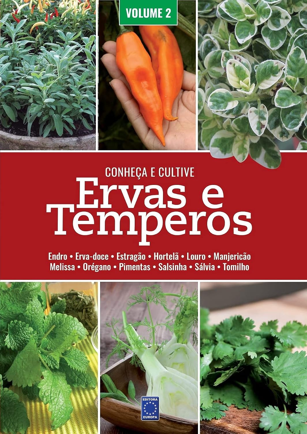 Ervas e Temperos: Conheça e Cultive - Volume 2 baixar livro de graça