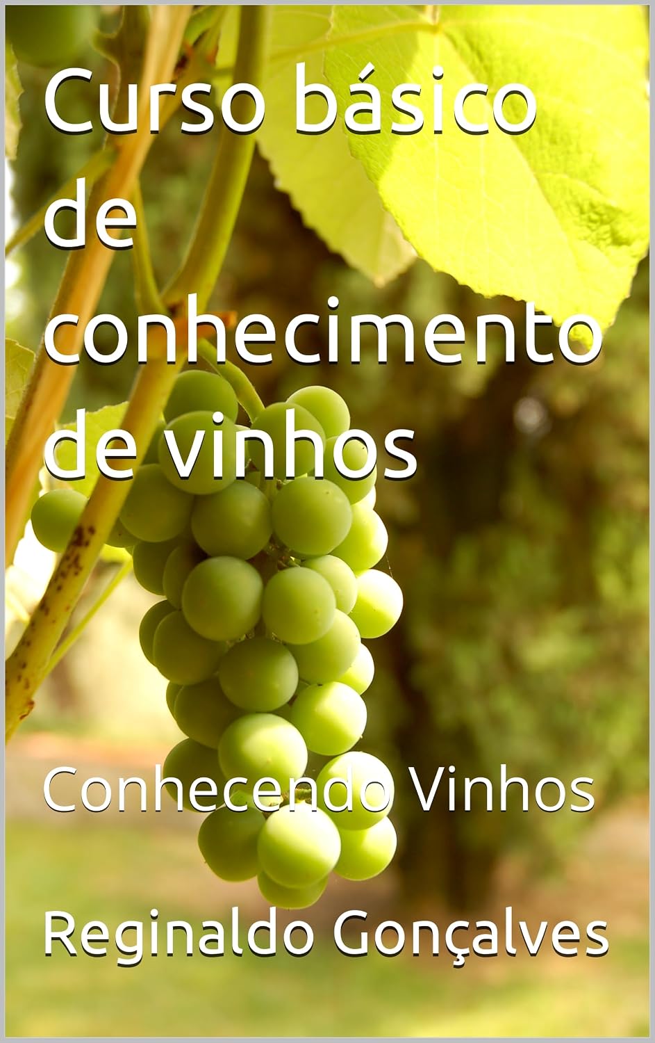 Curso básico de conhecimento de vinhos: Conhecendo Vinhos baixar livro de graça
