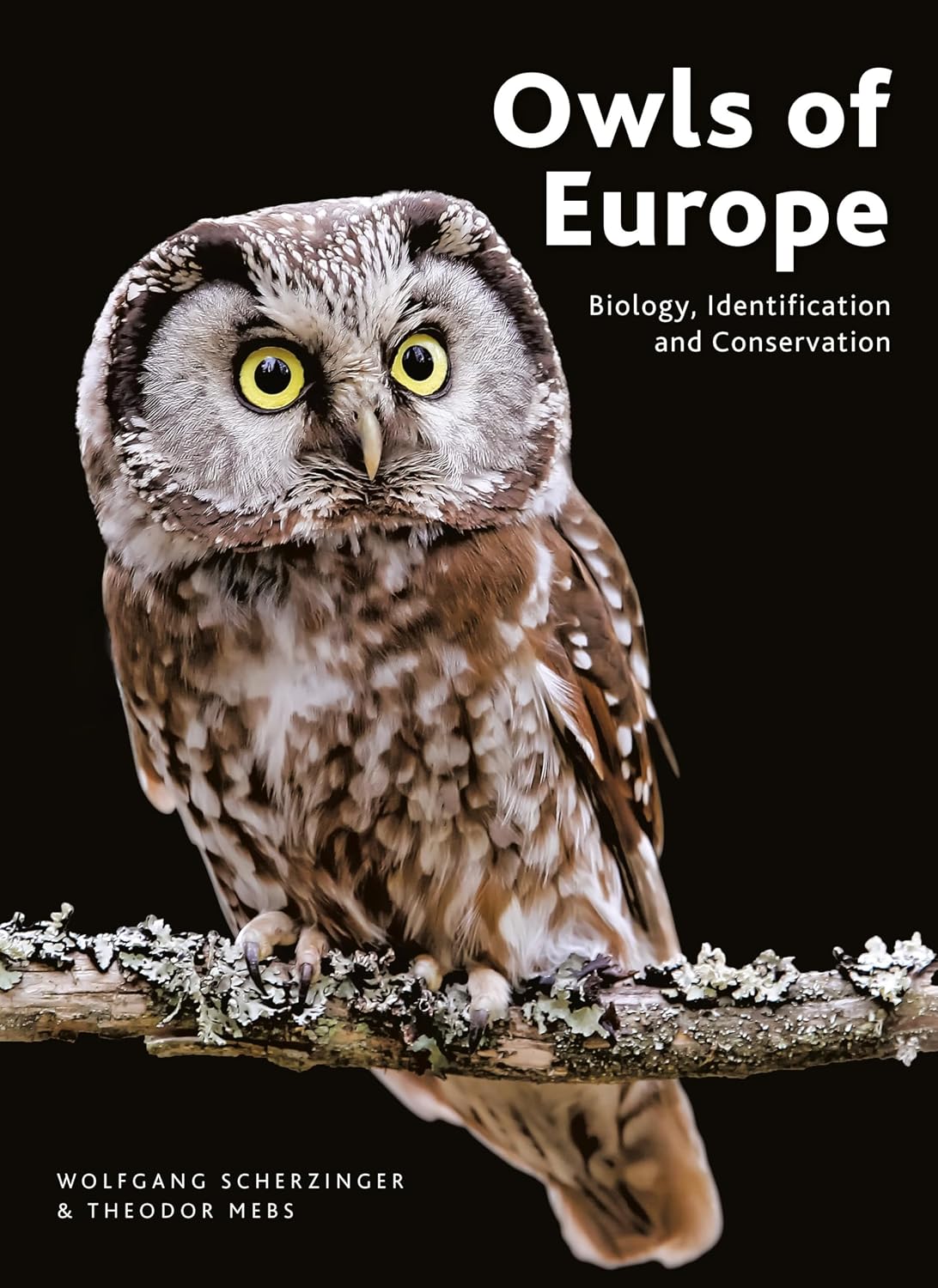 ler totalmente Owls of Europe: Biology, Identification and Conservation (English Edition)