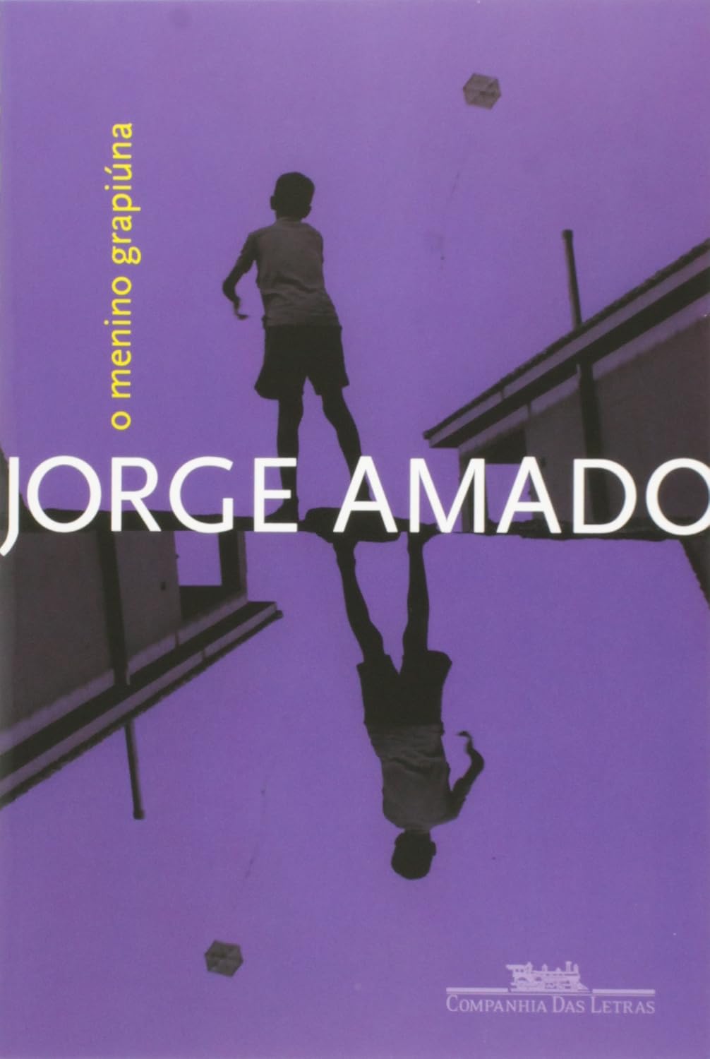 O menino grapiúna baixar o livro de graça