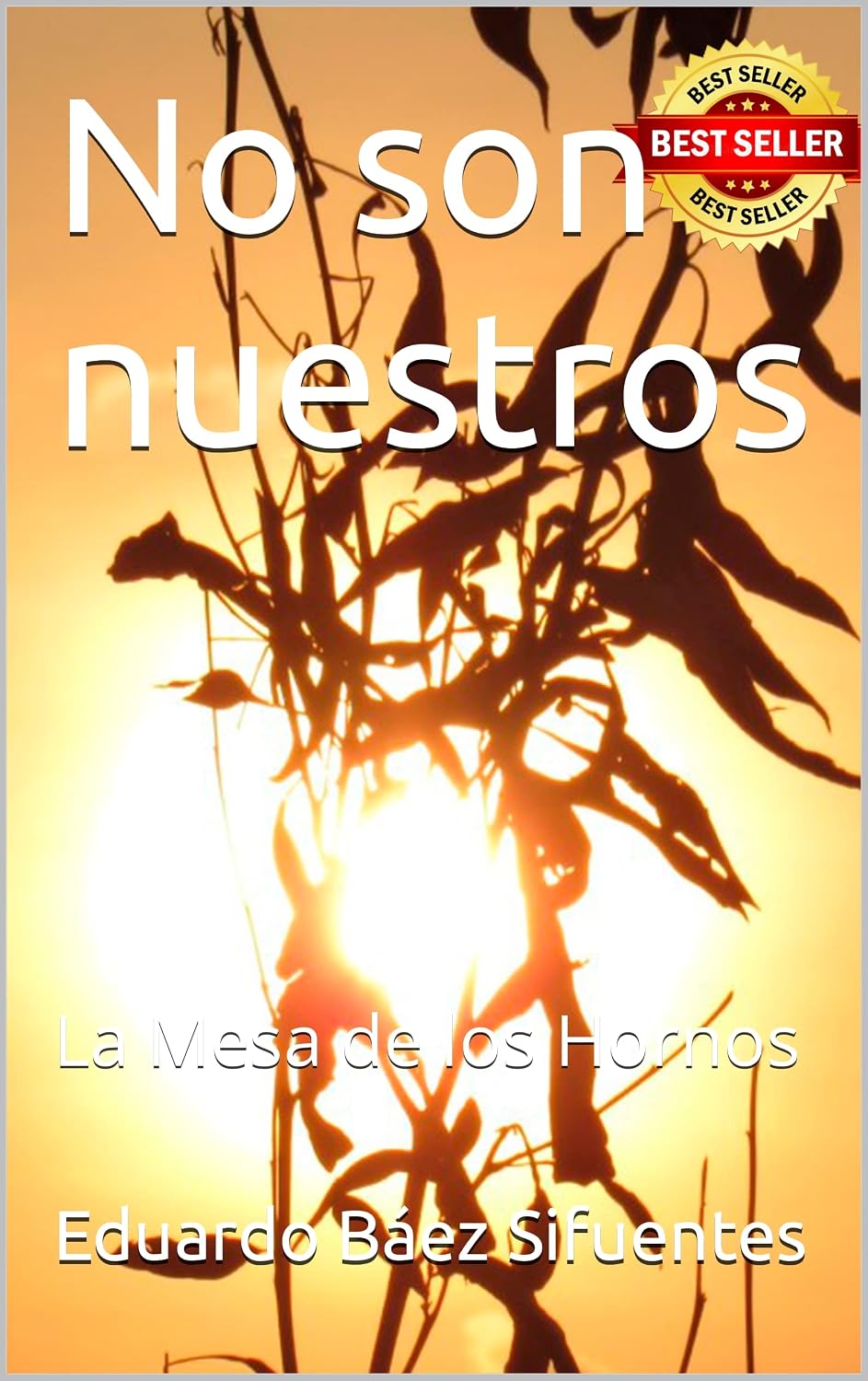 No son nuestros: La Mesa de los Hornos (Spanish Edition) baixar livro de graça