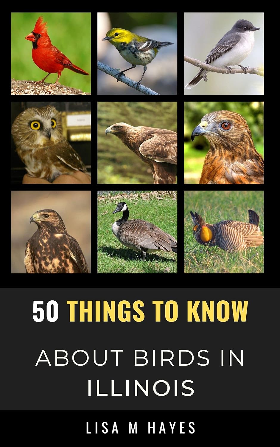 50 Things to Know About Birds in Illinois: Birdwatching Guide, Bird Identification, Local Species, Nature Facts, Backyard Birds, & Wildlife (50 Things... and regional bird books) (English Edition) baixar livro de graça