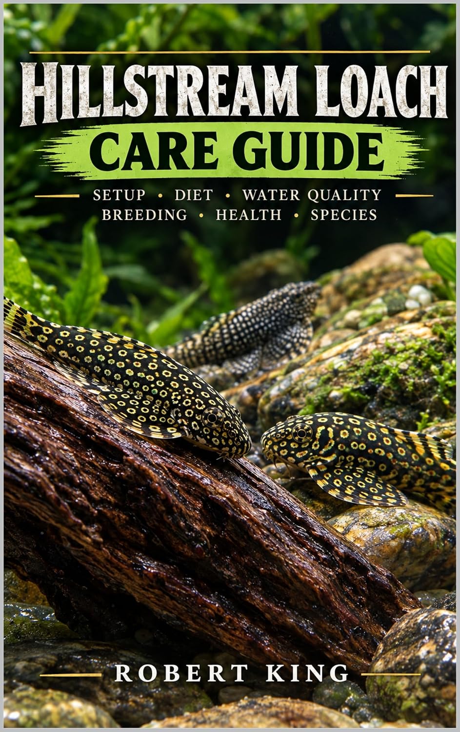 ler totalmente Hillstream Loach Care Guide (English Edition)
