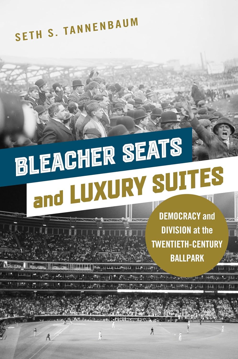 Bleacher Seats and Luxury Suites: Democracy and Division at the Twentieth-Century Ballpark (English Edition) baixar o livro de graça