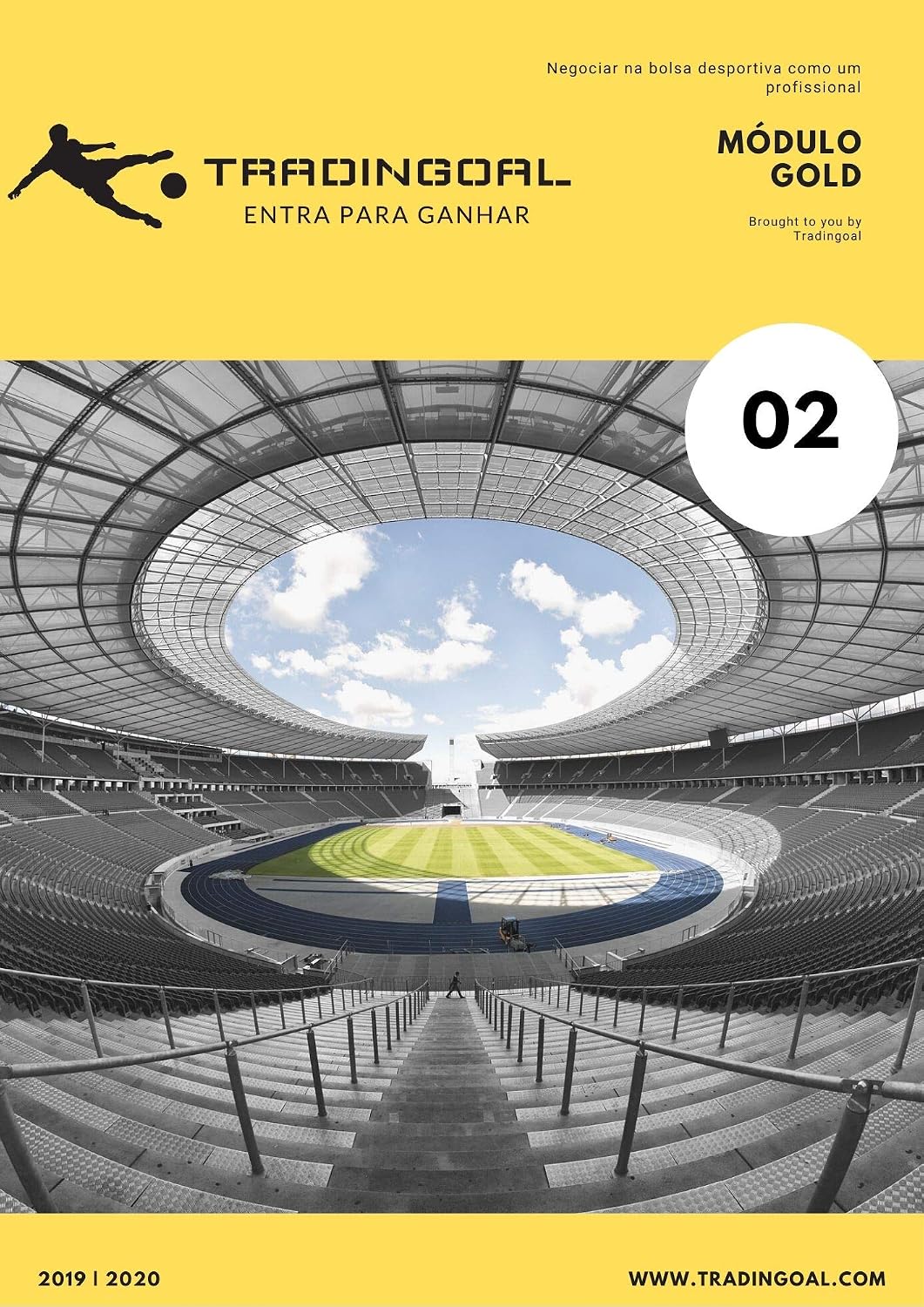 Curso Trading Esportivo - Módulo Gold (Profissionais) (1) baixar livro de graça