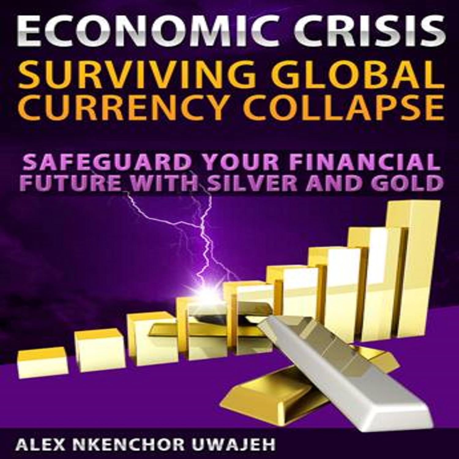 ler totalmente Economic Crisis: Surviving Global Currency Collapse: Safeguard Your Financial Future with Silver and Gold