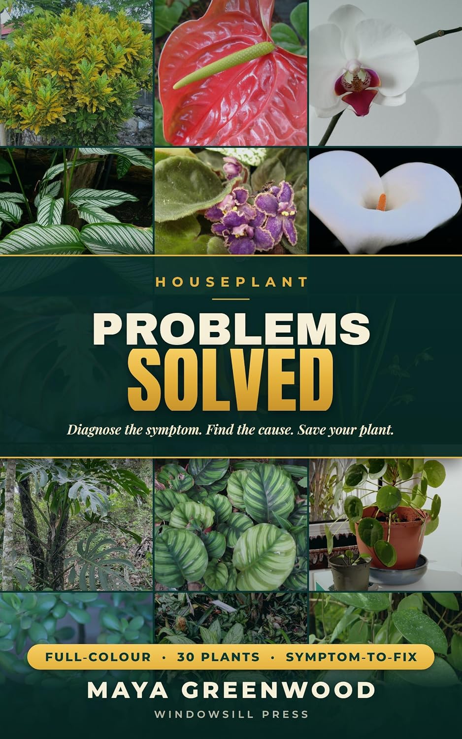 Houseplant Problems Solved: A Complete Full-Colour Indoor Plant Care Guide to Diagnose and Fix 30 Popular Houseplants — Yellow Leaves, Root Rot, Pests,... Illustrated for Beginners (English Edition) baixar livro de graça
