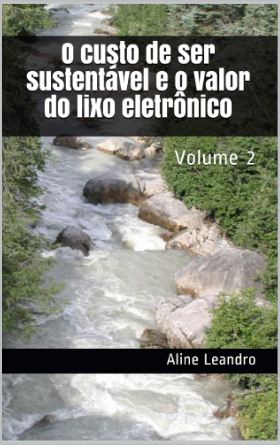 O custo de ser sustentável e o valor do lixo eletrônico: Volume 2 baixar livro de graça