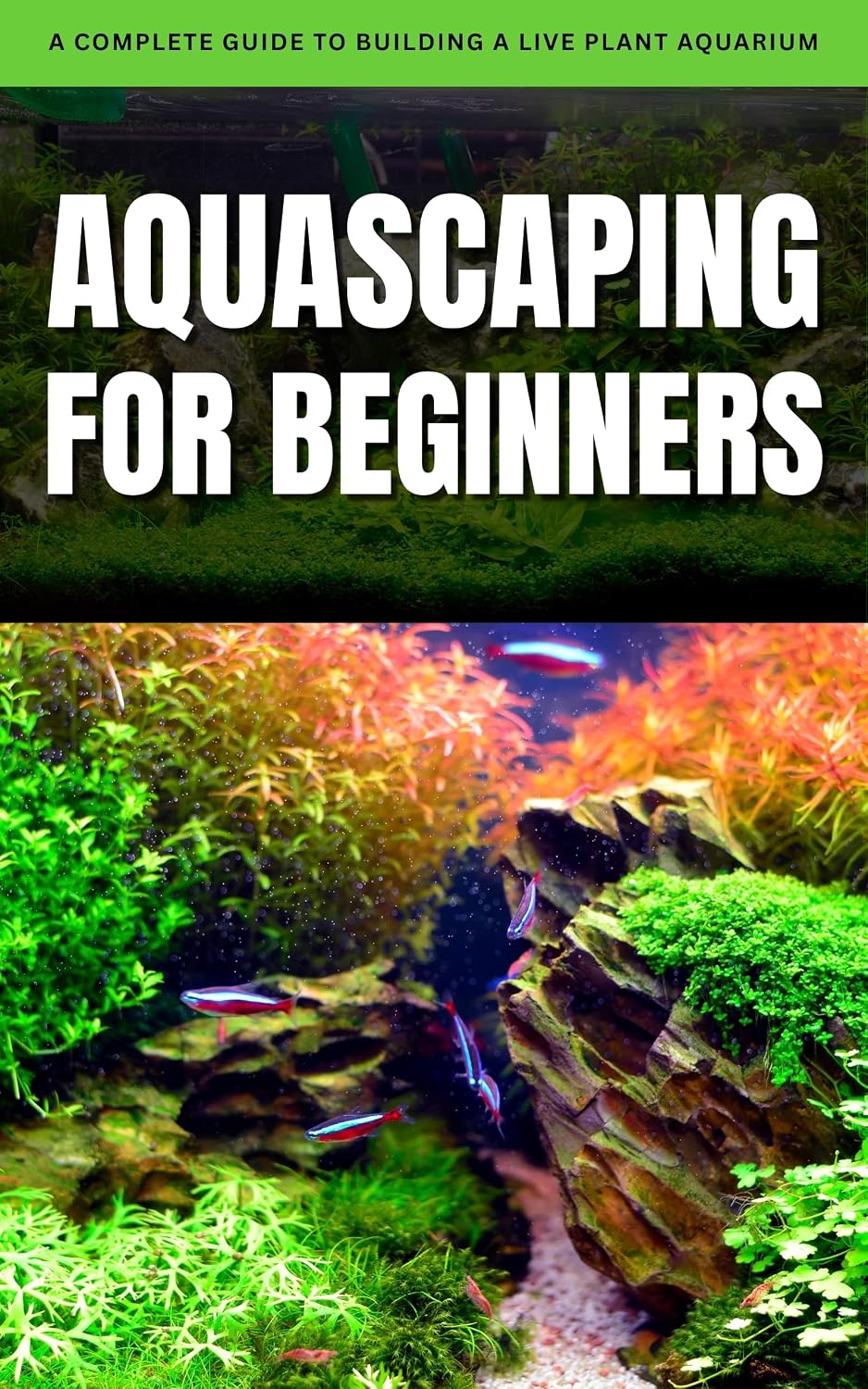 Aquascaping for Beginners: A Complete Guide to Building a Live Plant Aquarium (English Edition) baixar livro de graça