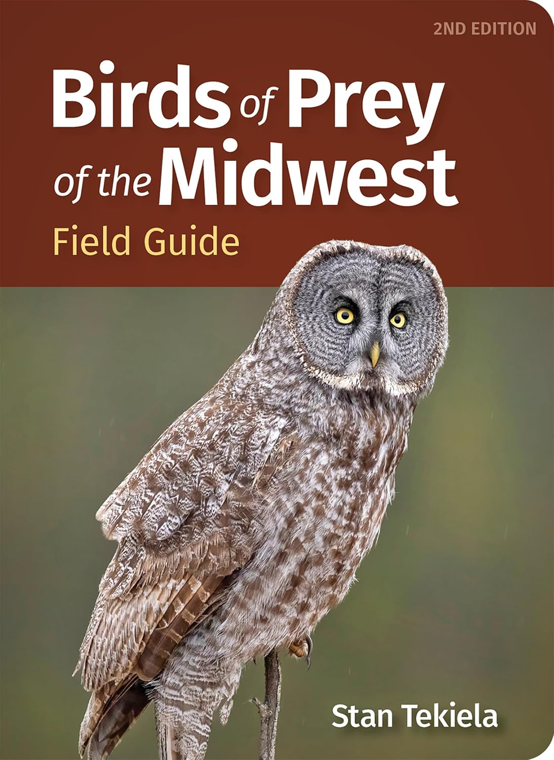 Birds of Prey of the Midwest Field Guide (Bird Identification Guides) (English Edition)