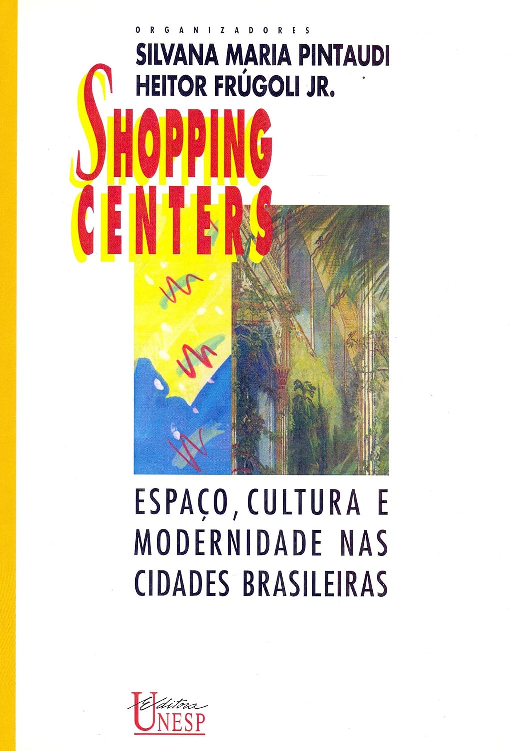 Shopping centers: Espaço, cultura e modernidade nas cidades brasileiras