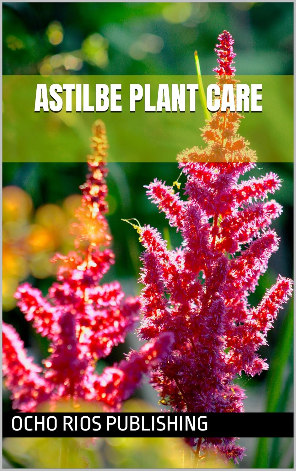 ler totalmente Astilbe Plant Care (Homegrown flowers) (English Edition)