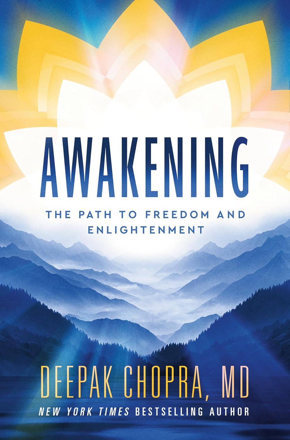 Awakening: The Path to Freedom and Enlightenment (English Edition) baixar o livro de graça