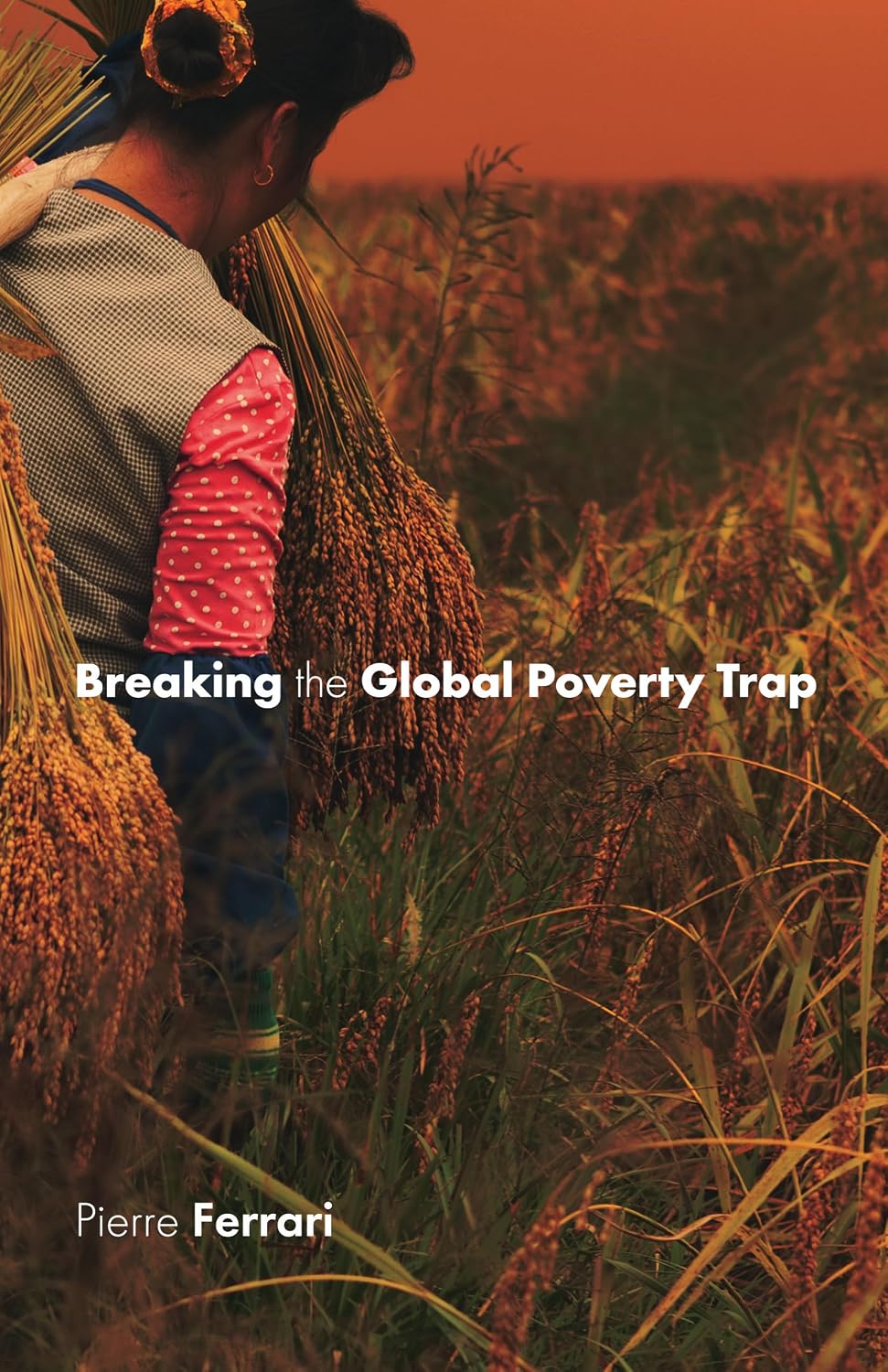 Breaking the Global Poverty Trap: Why Aid Fails and How to Build a Sustainable Future for the Planet's Poor (English Edition) baixar livro de graça