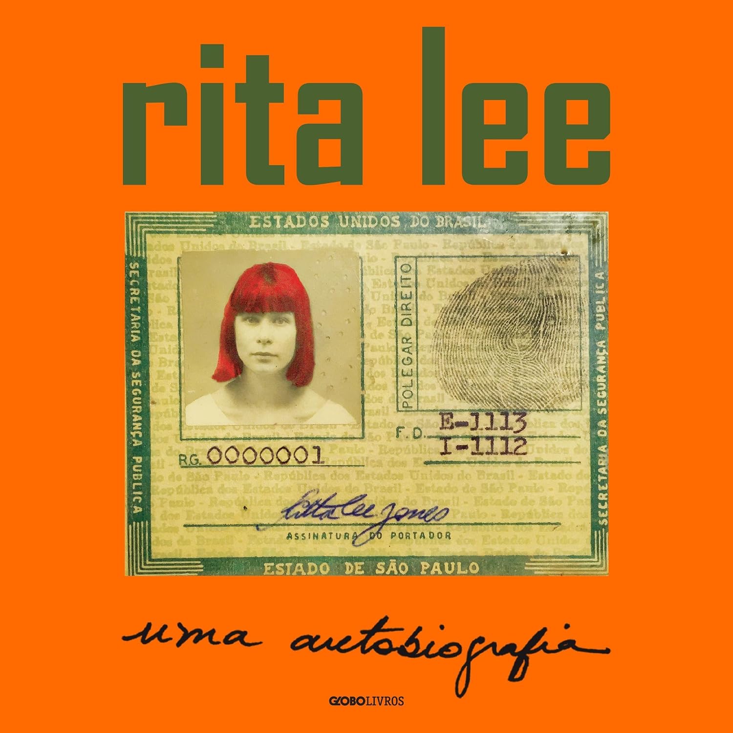 capítulo por capítulo baixar Rita Lee: uma autobiografia