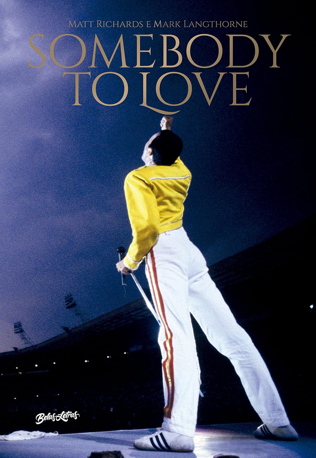 Somebody to love: Vida, morte e legado de Freddie Mercury baixar livro de graça