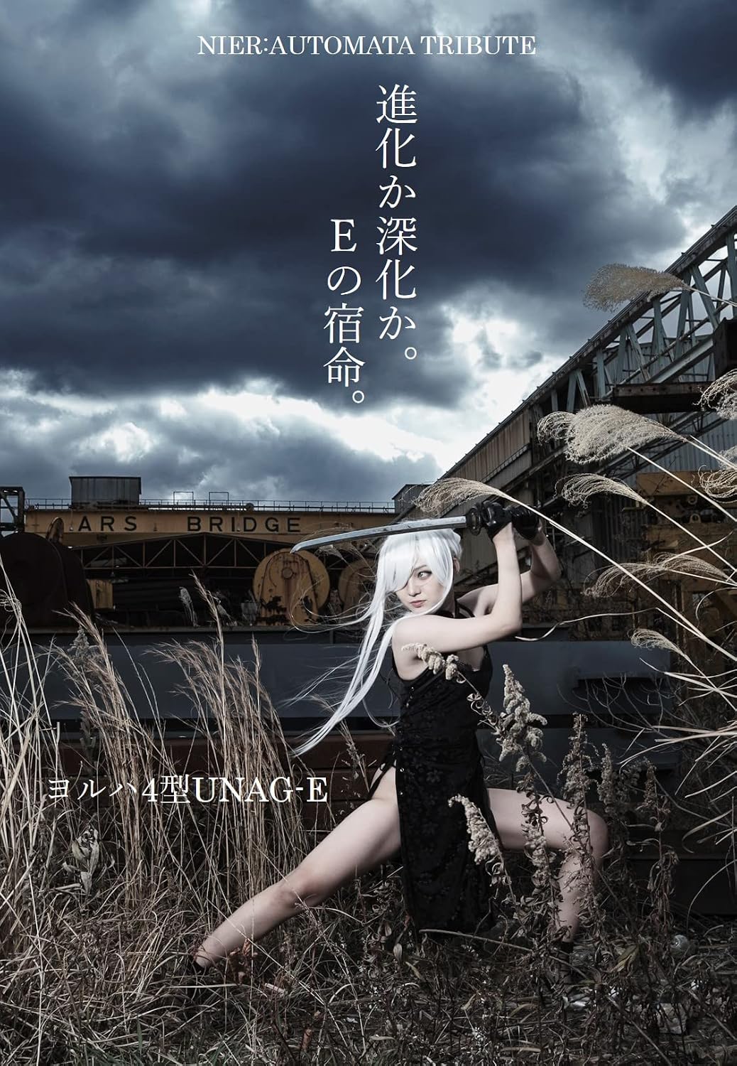 ler totalmente NIER:AUTOMATA TRIBUTE PHOTO BOOK (Japanese Edition)