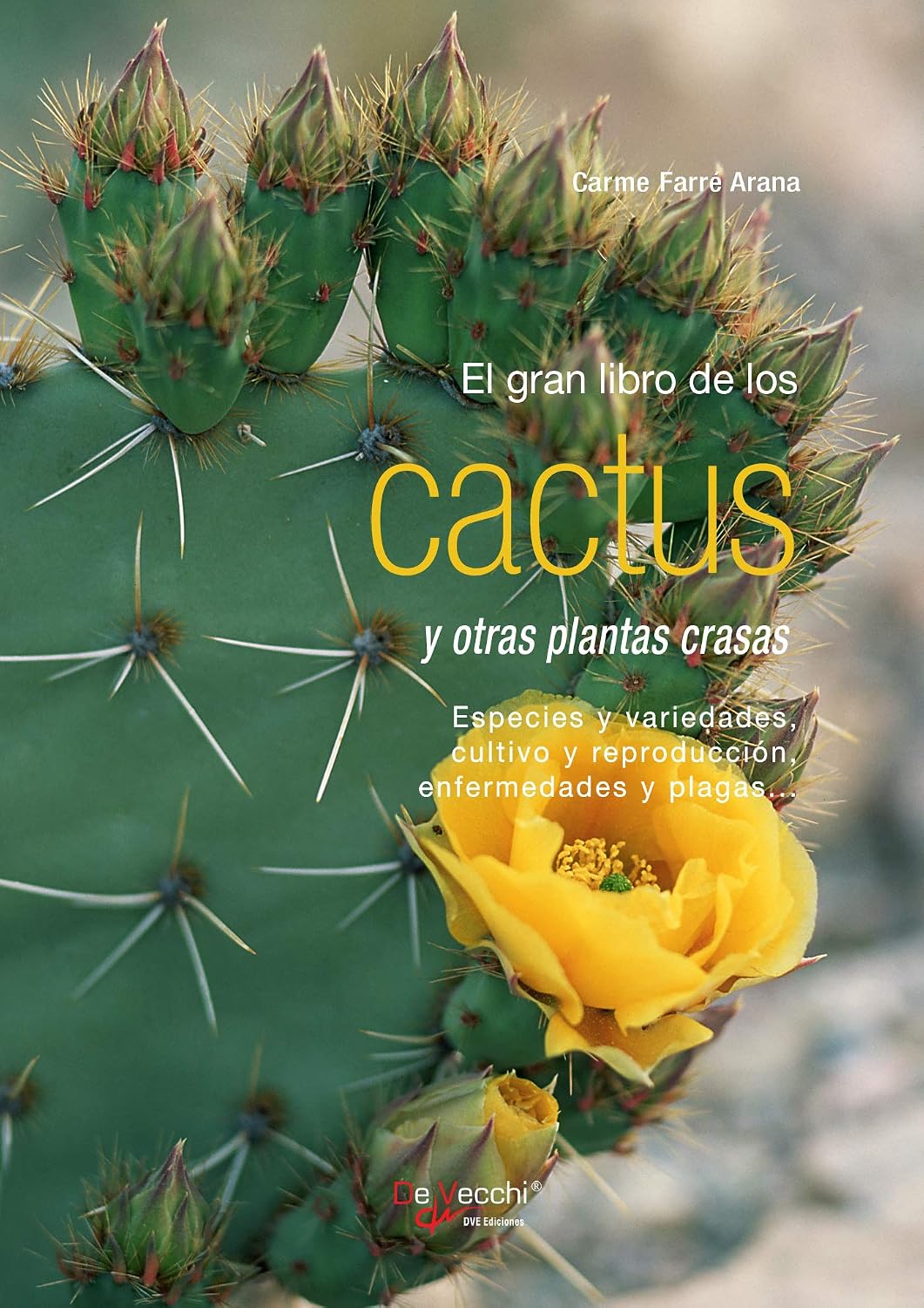 El gran libro de los cactus y otras plantas crasas (Spanish Edition)