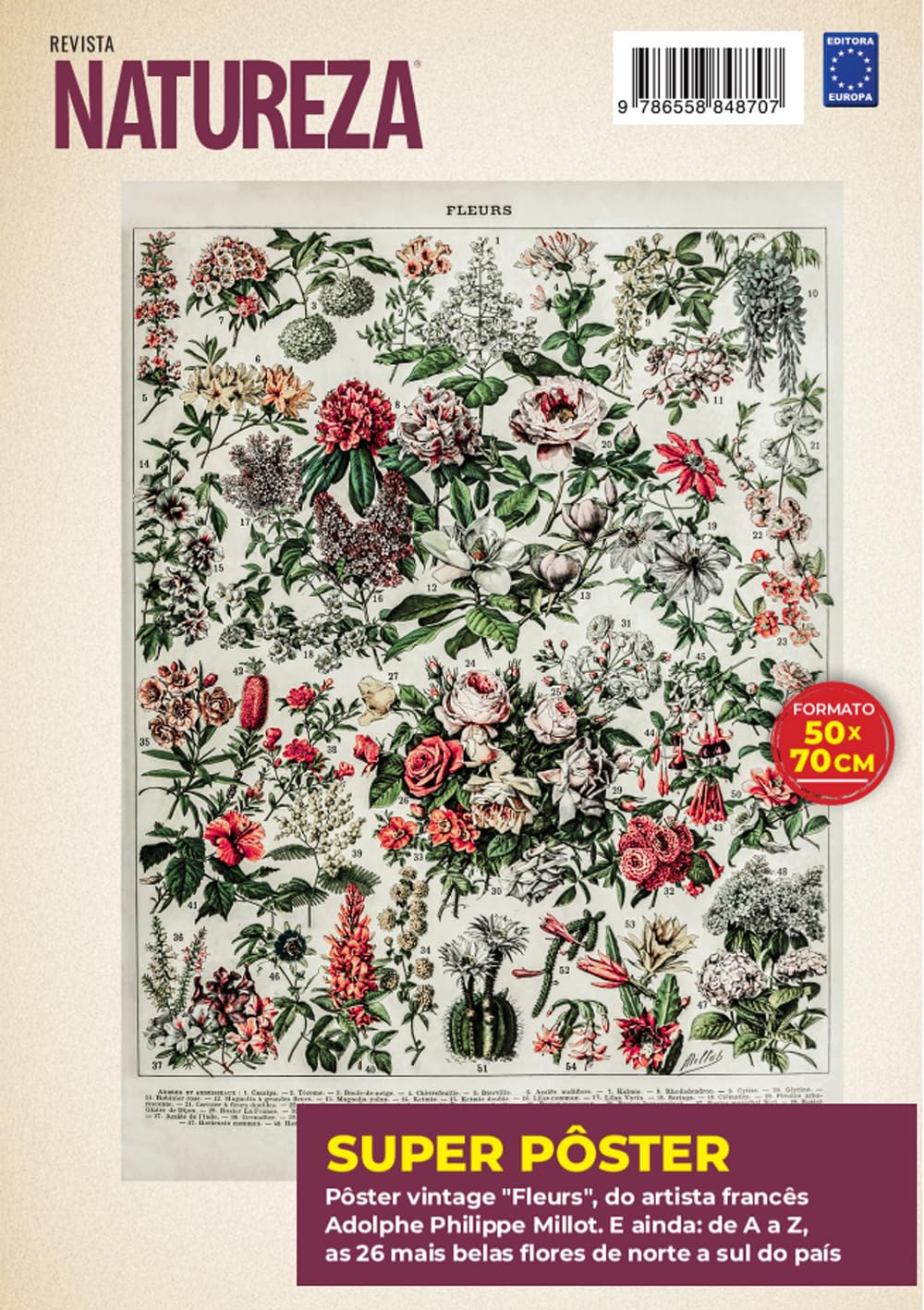 Adolphe Philippe Millot: Fleurs 4 - Superpôster Natureza baixar livro de graça
