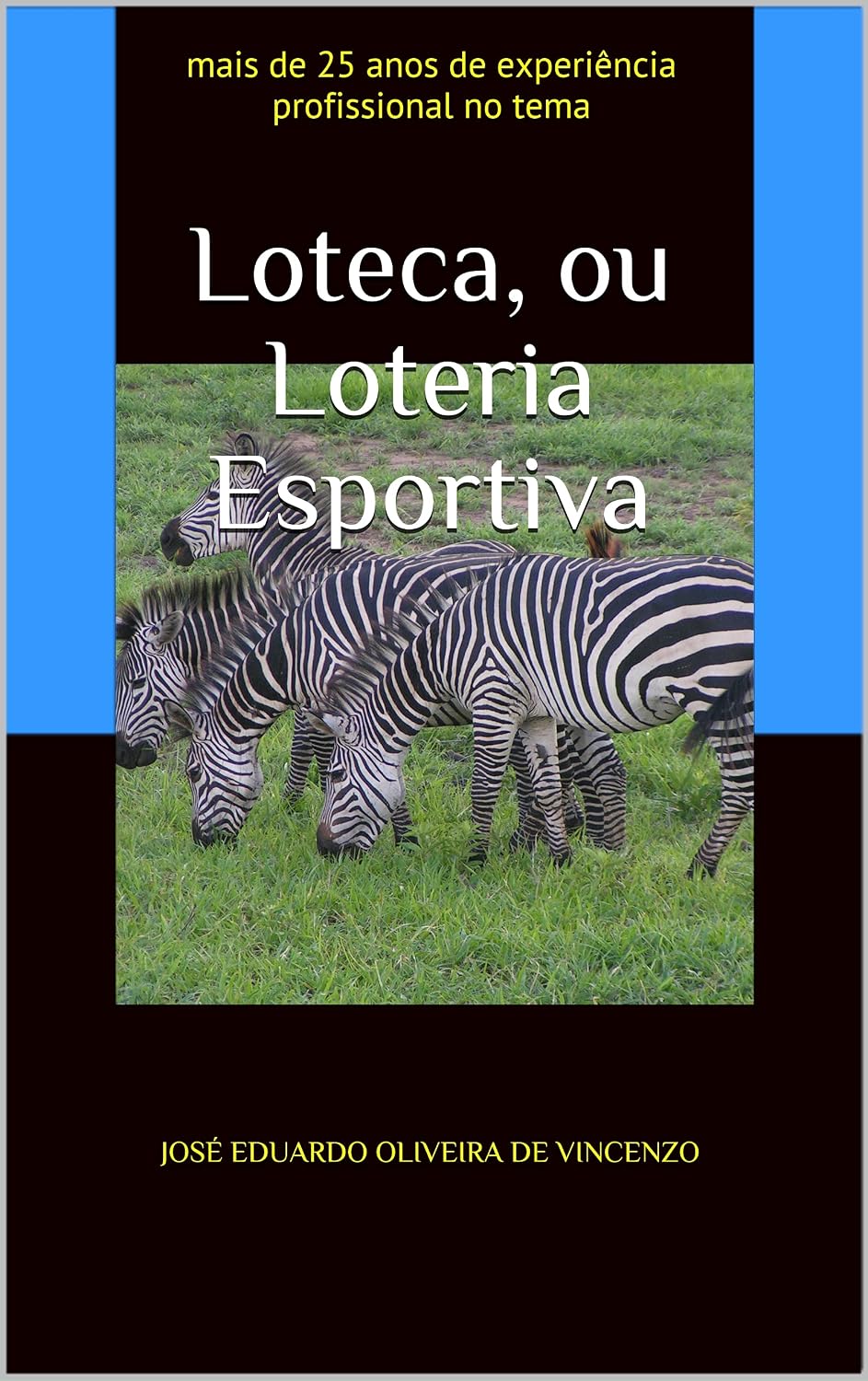 Loteca, ou Loteria Esportiva: mais de 25 anos de experiência profissional no tema baixar livro de graça